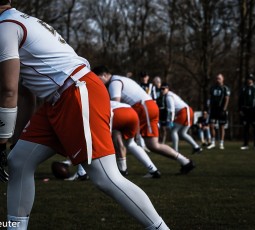 Doppelspieltag für die Flag Cougars Doppelspieltag für die Flag Cougars